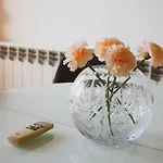 Apartment S 3